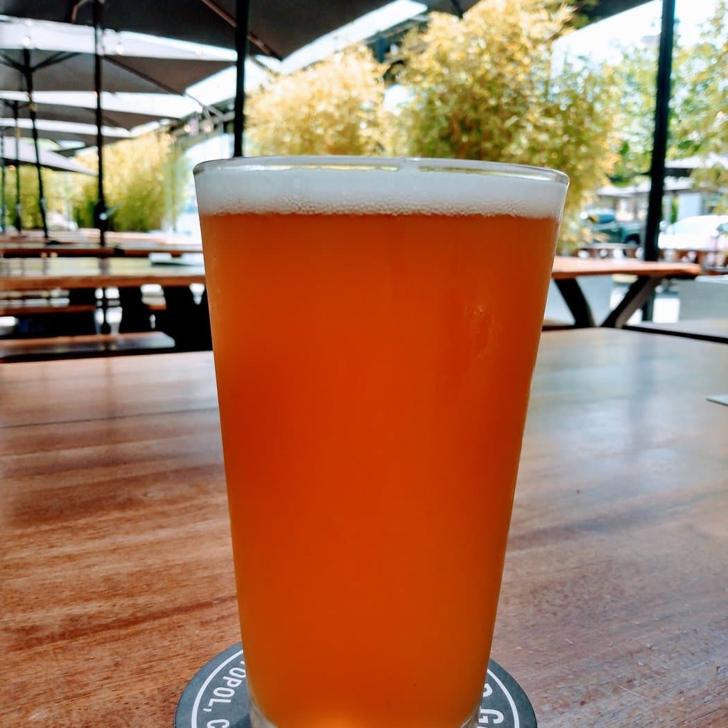 Bachan’s Day celebration 3