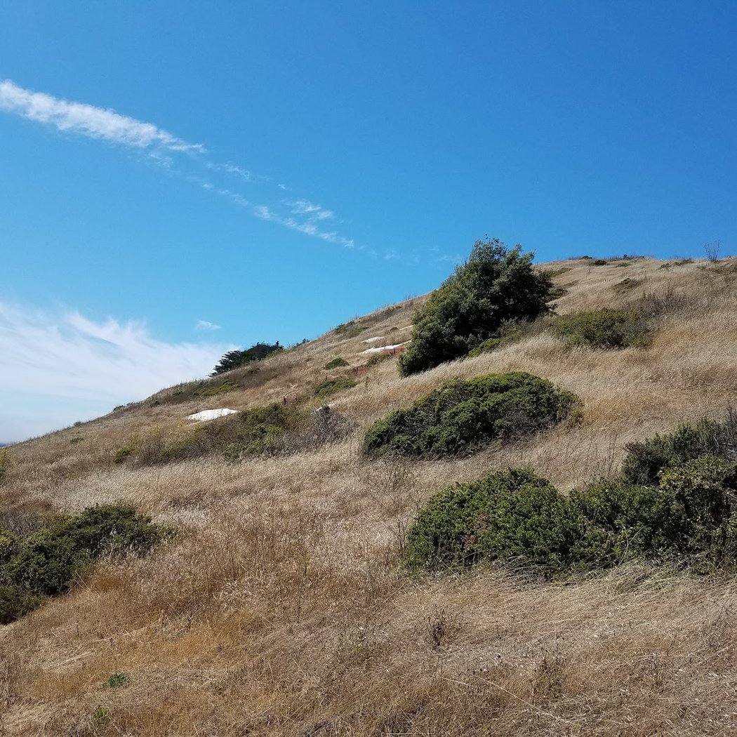 Sign Hill Trailhead 3