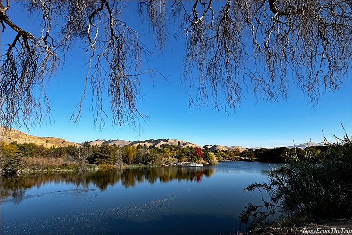 Niles Community Park 1