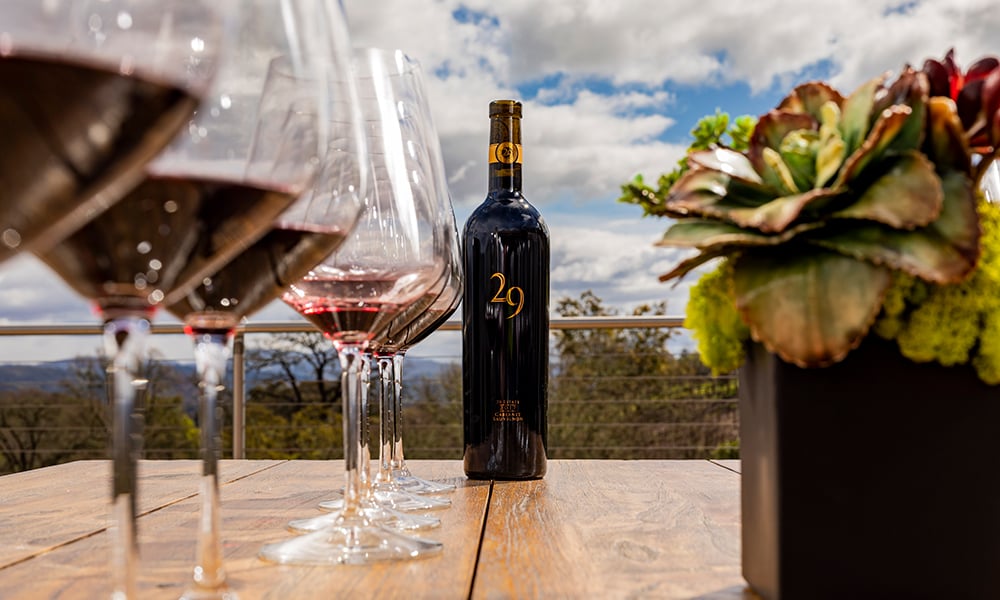 Vineyard 29 1