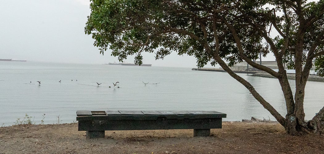 Warm Water Cove Park 2