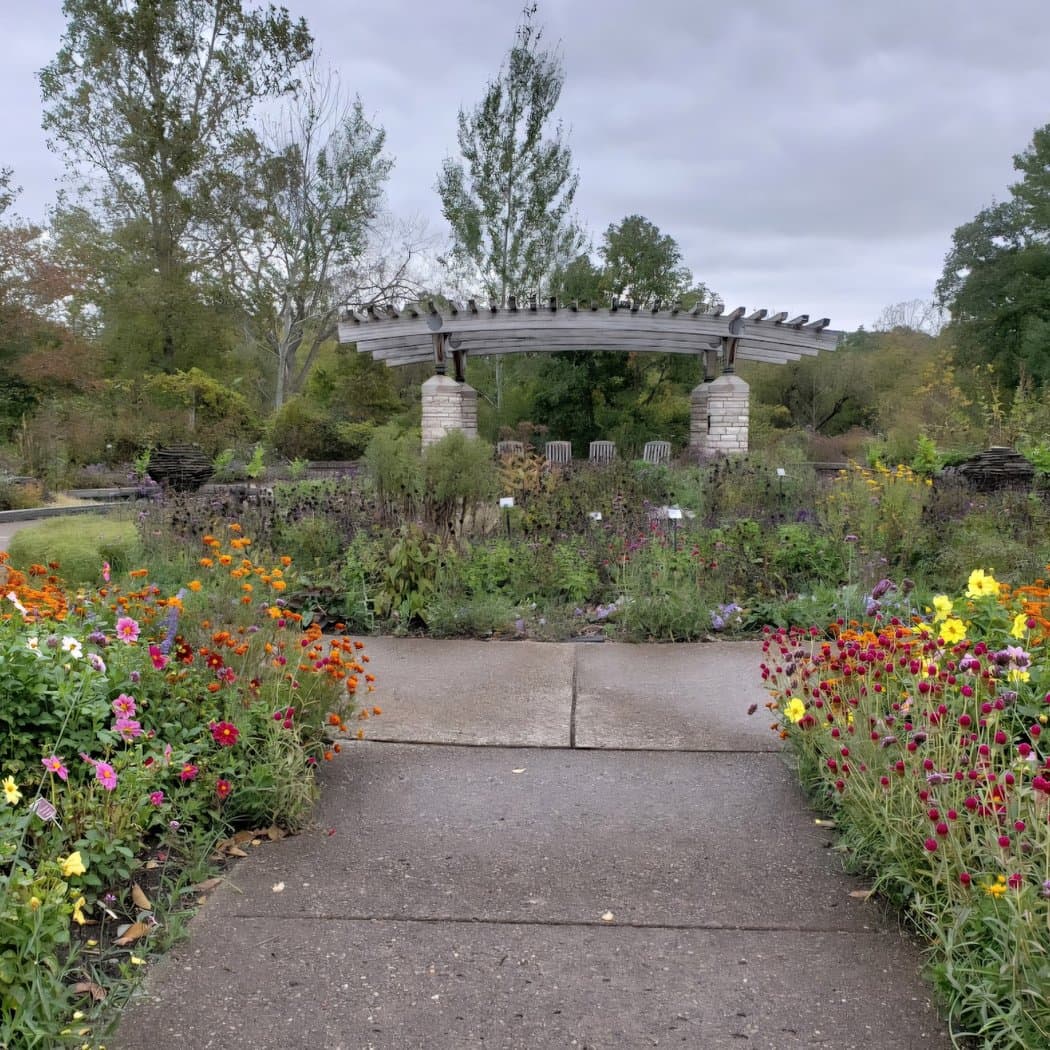 Closing Reception: Robin Speth Art Exhibit - Decoherence 3