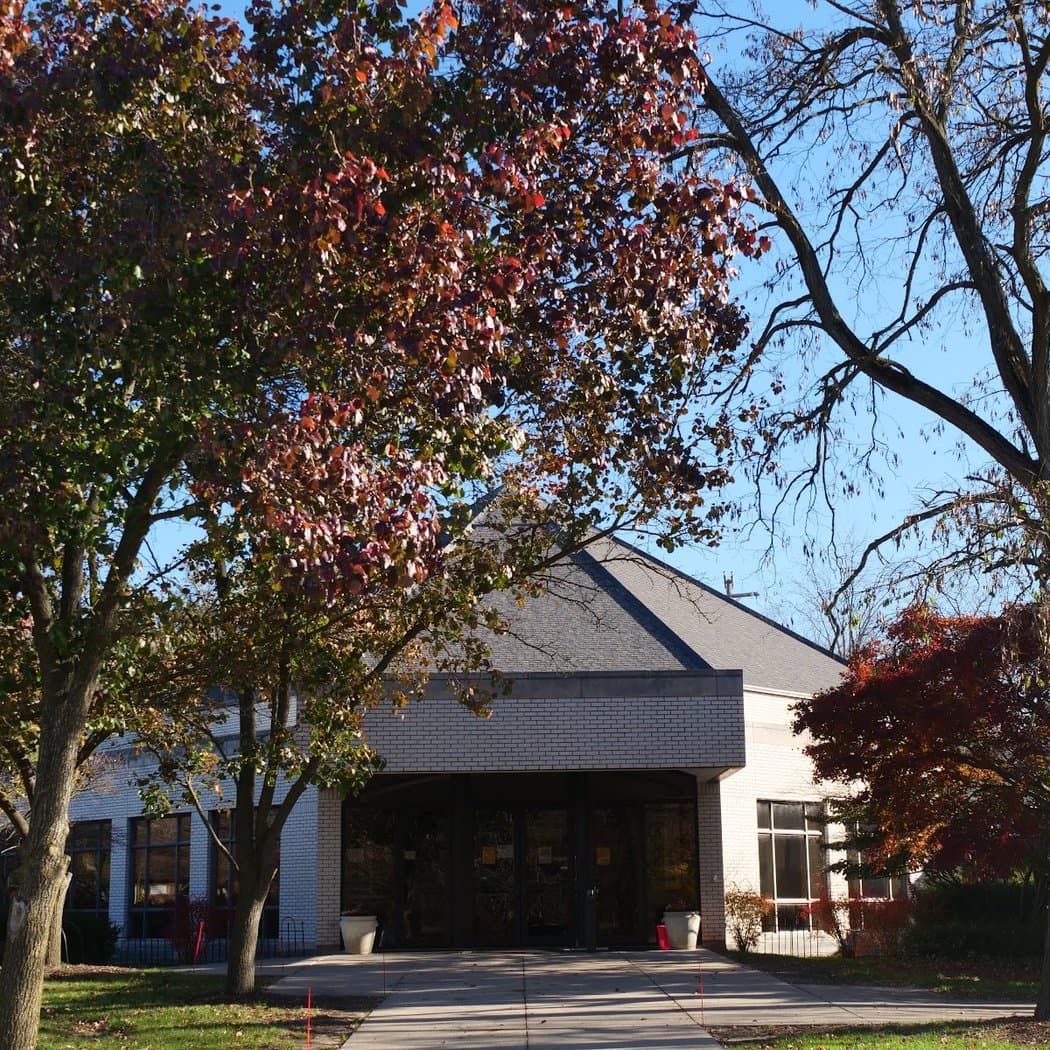 Ears of my Ears Awake! 2