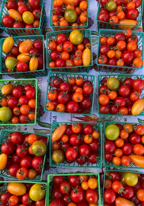 North Beach Farmers Market 1