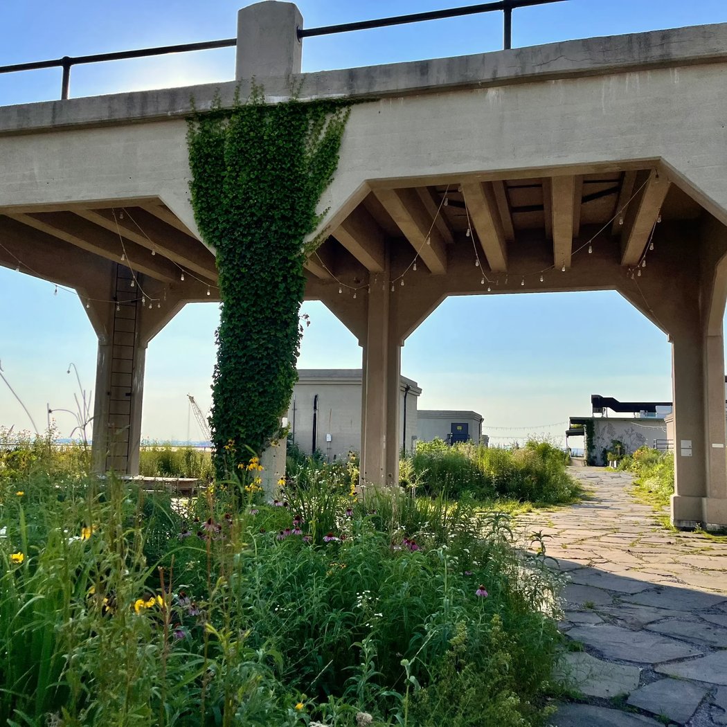 Brooklyn Grange @ Sunset Park 3