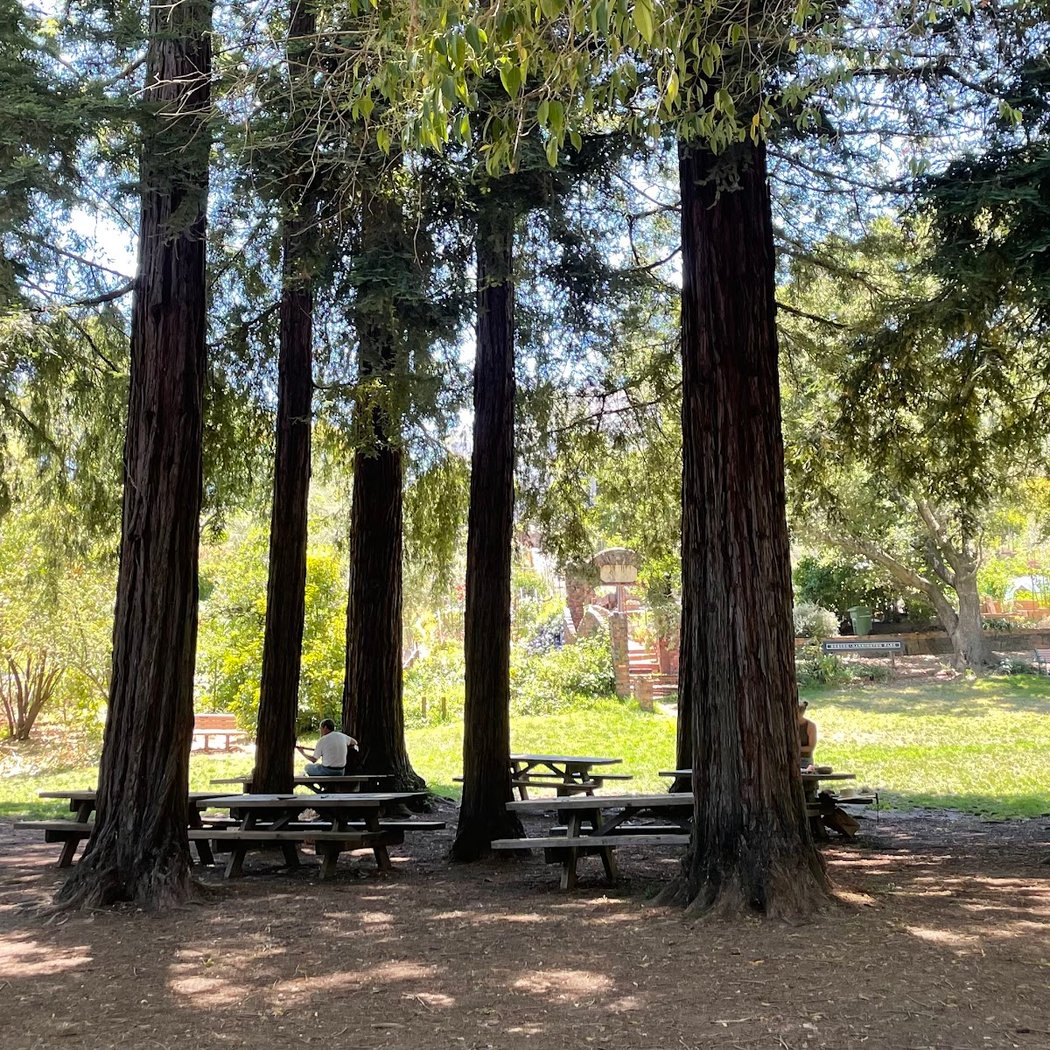 Robson Park 2