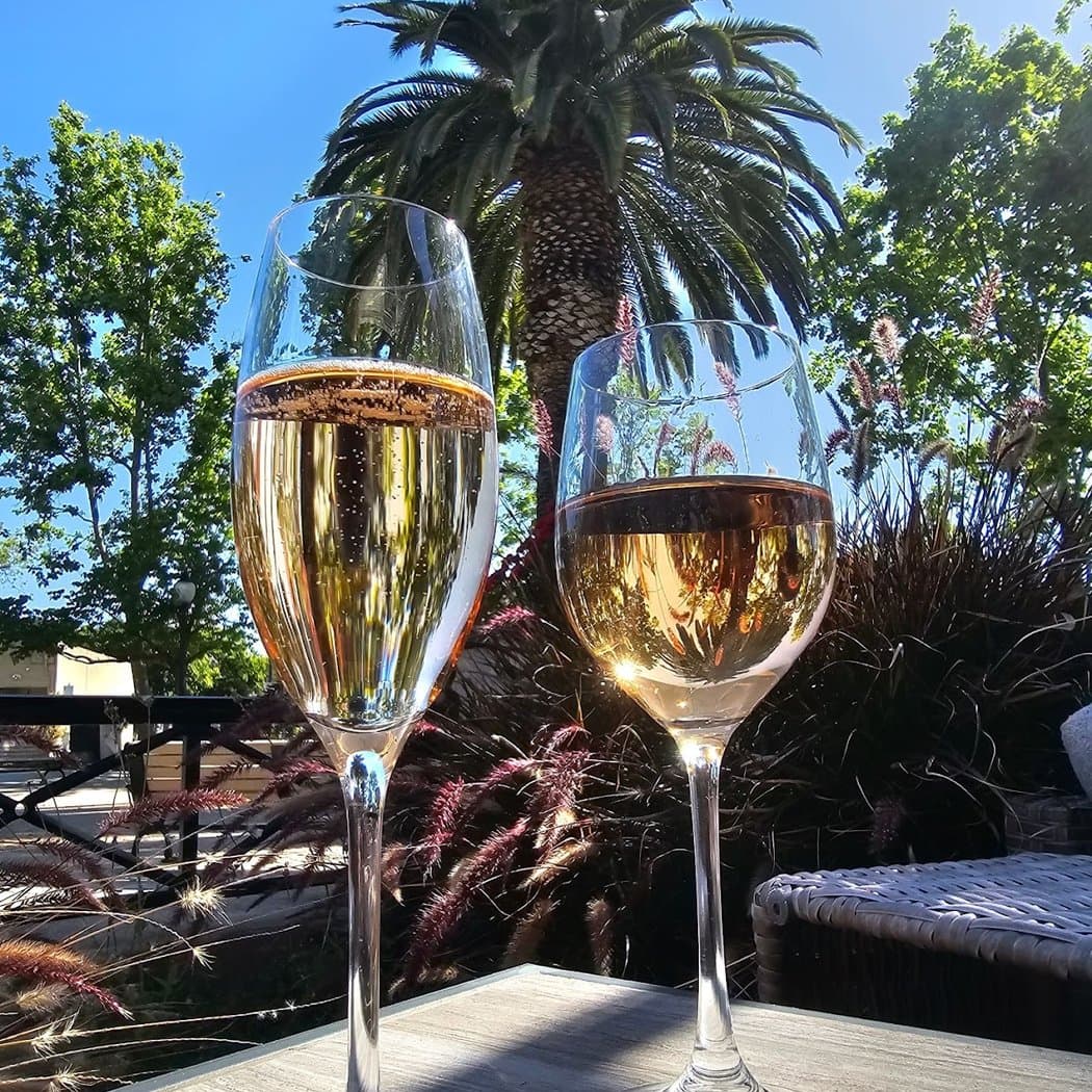 Savvy Cellar Wine Bar 2