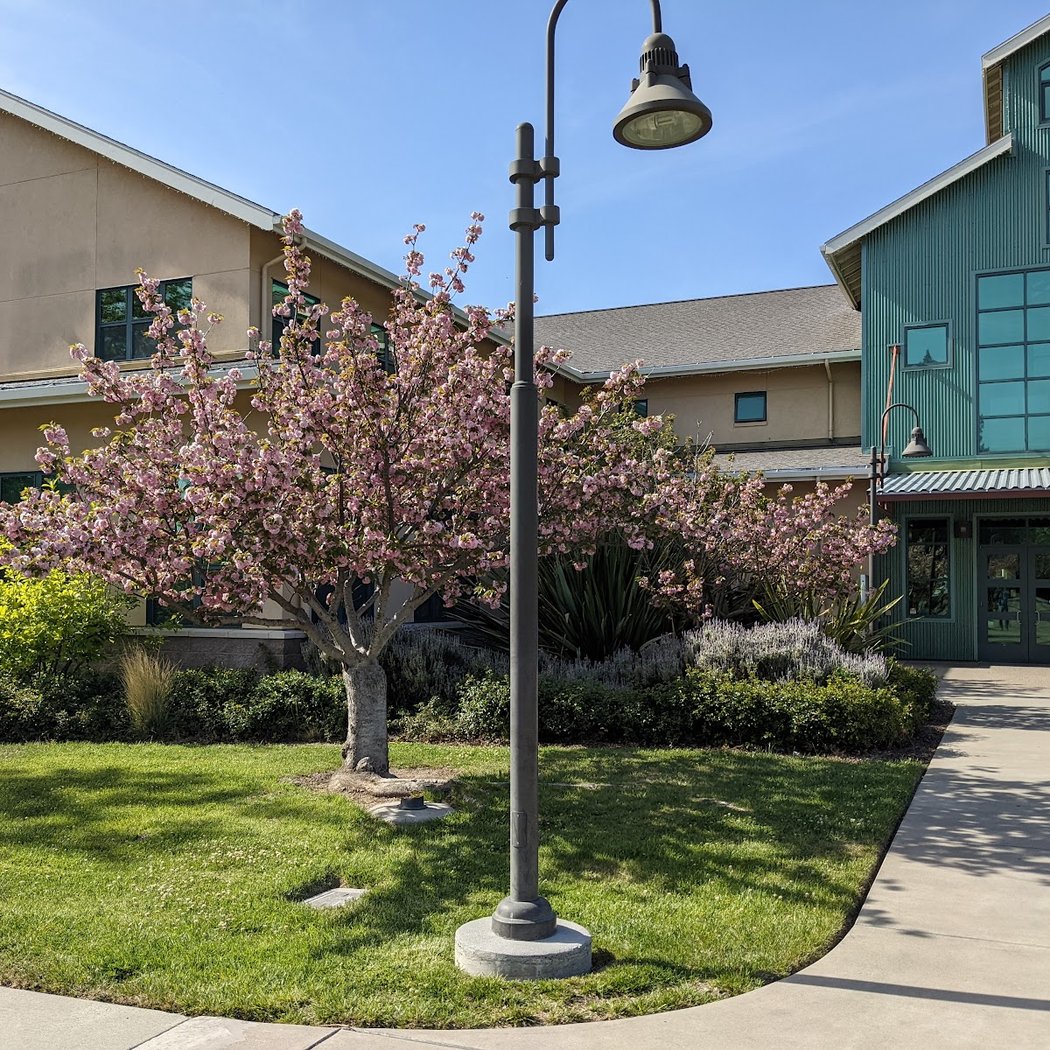 Robert Livermore Community Center 3