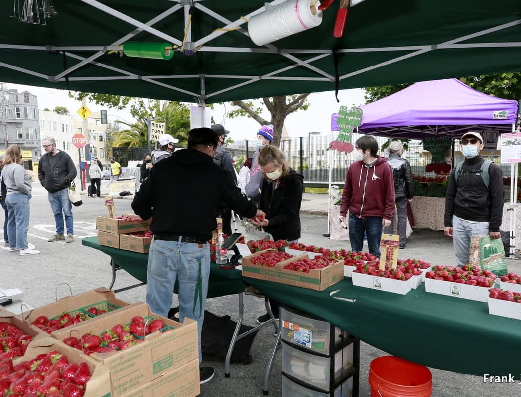 North Beach Farmers' Market 3