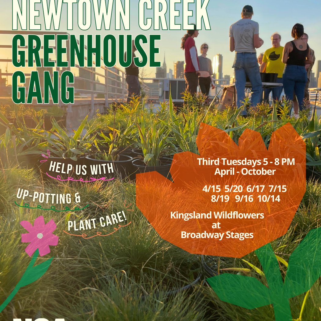 Greenhouse Gang Volunteer Series