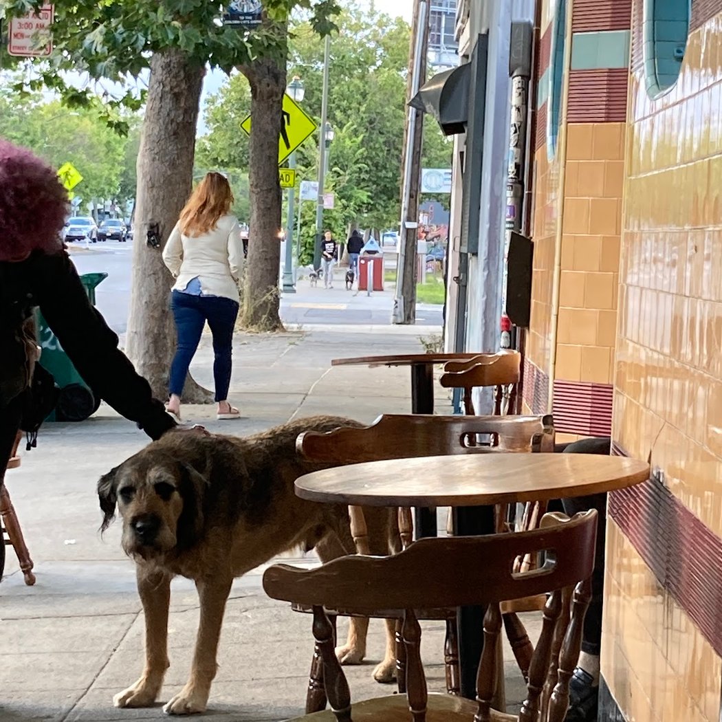 Wolfhound Bar 2