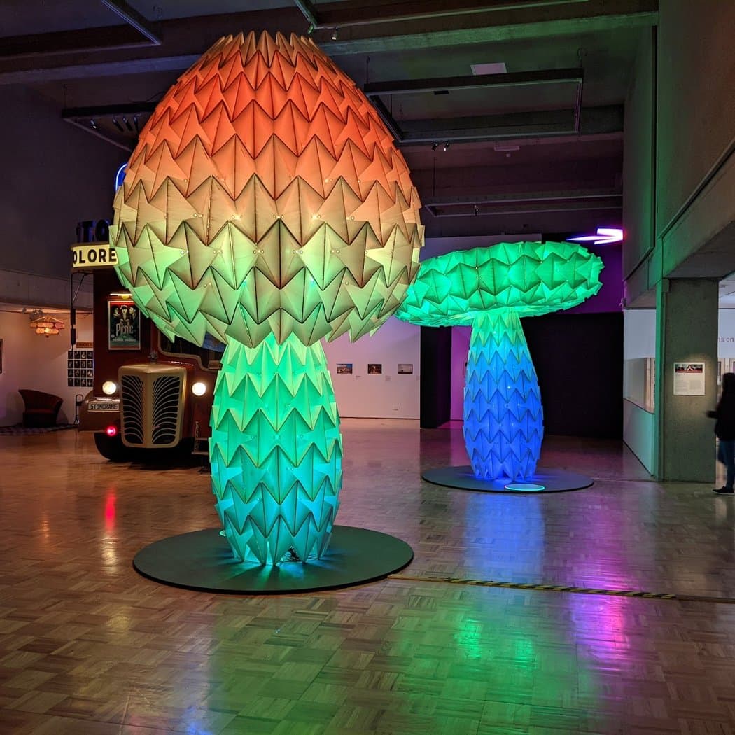 Friday Nights at OMCA 5