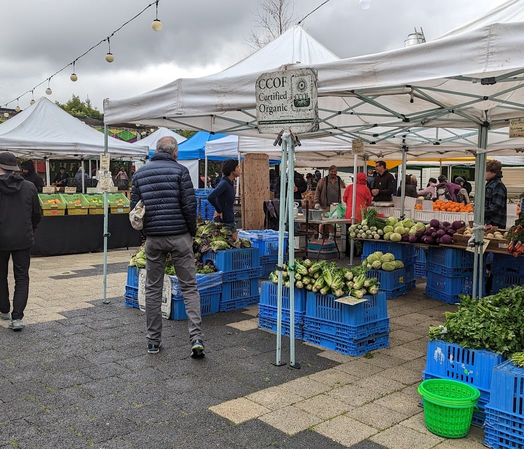 Noe Valley Town Square 1