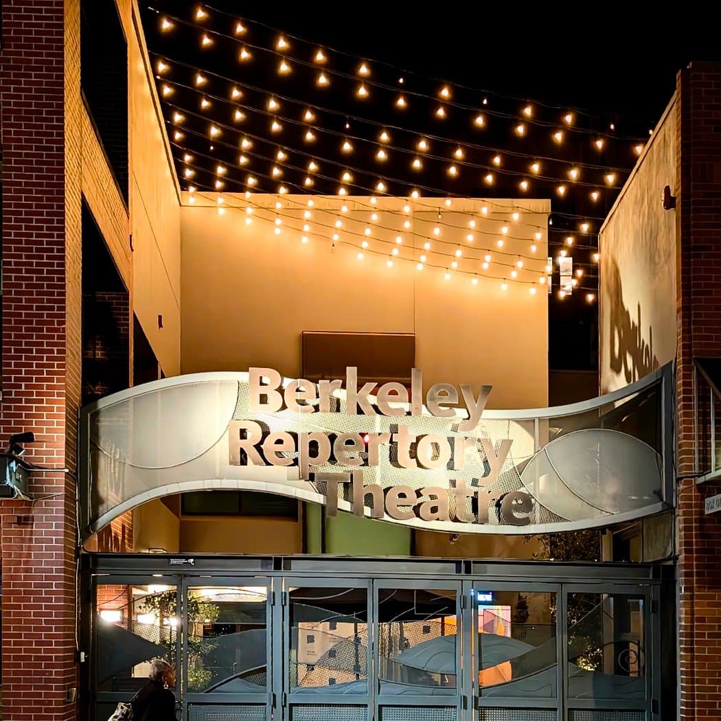 HOW SHAKESPEARE SAVED MY LIFE 1