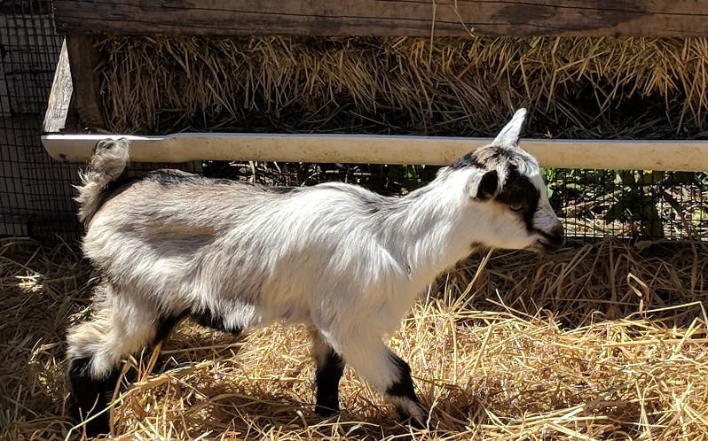 Coyote Point Recreation Area 1