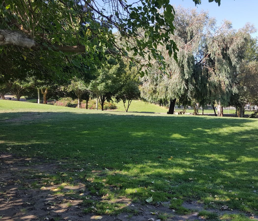 Buchanan Park 2