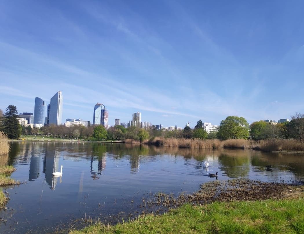 Parc André Malraux 2
