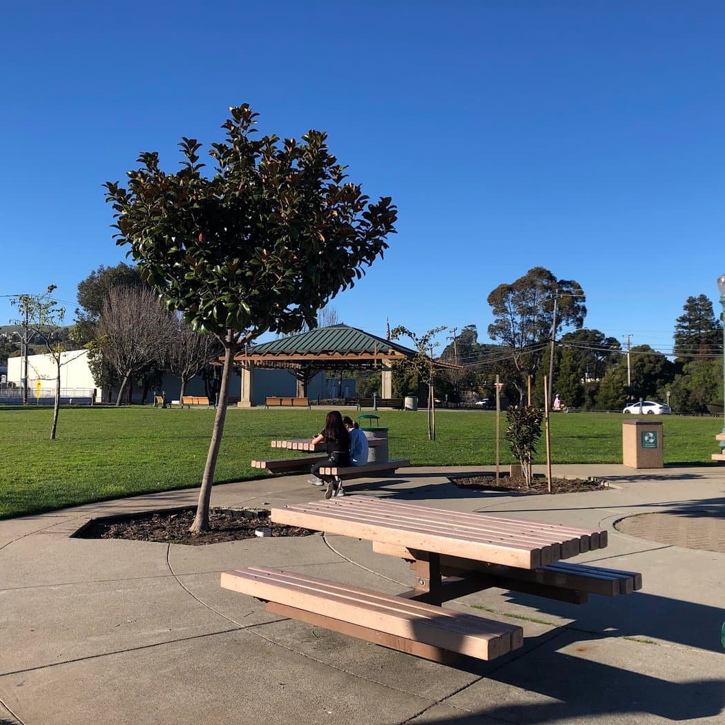 Brisbane Community Park 3