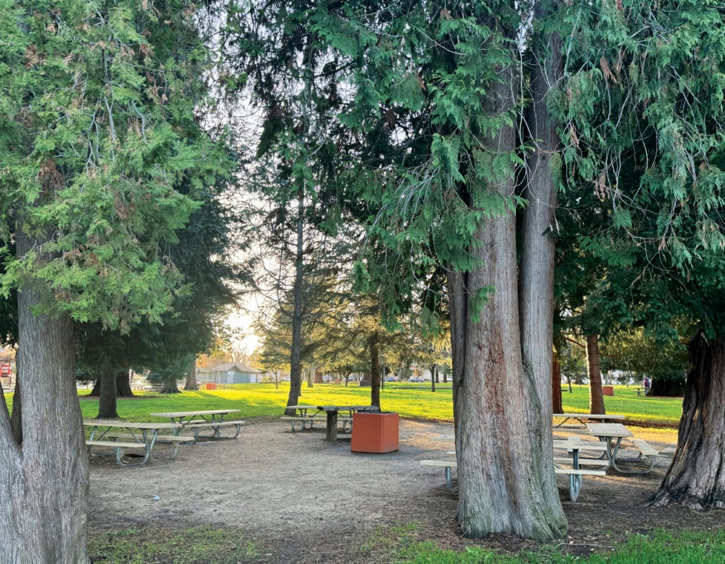 Fuller Park 2