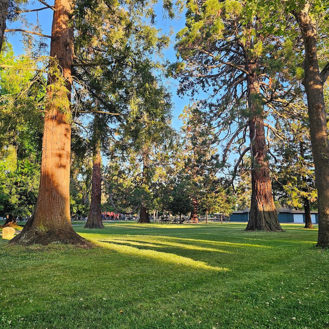 Fuller Park 1