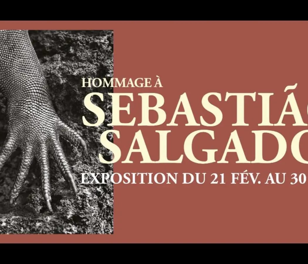 La grande expo hommage à Sebastião Salgado 1