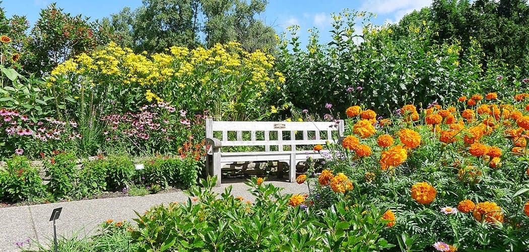 Closing Reception: Robin Speth Art Exhibit - Decoherence 2