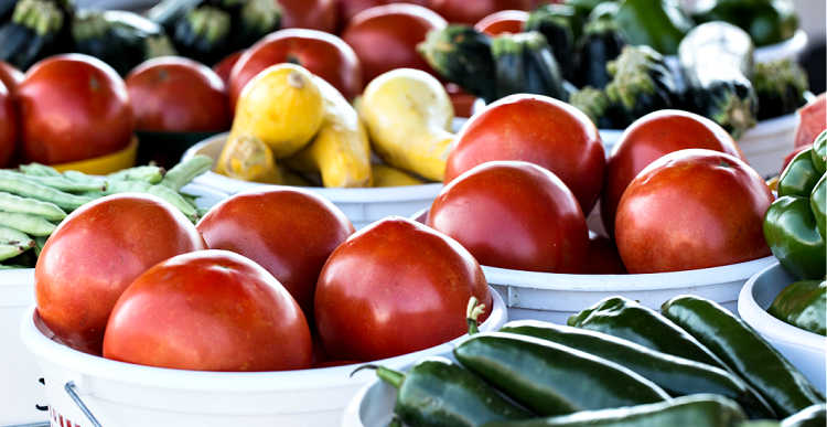 Connolly Ranch Education Center 4