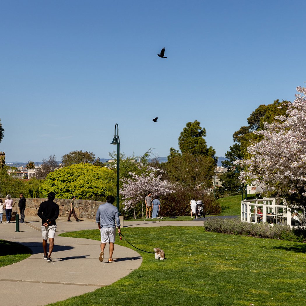 Presidio Promenade Trail 3
