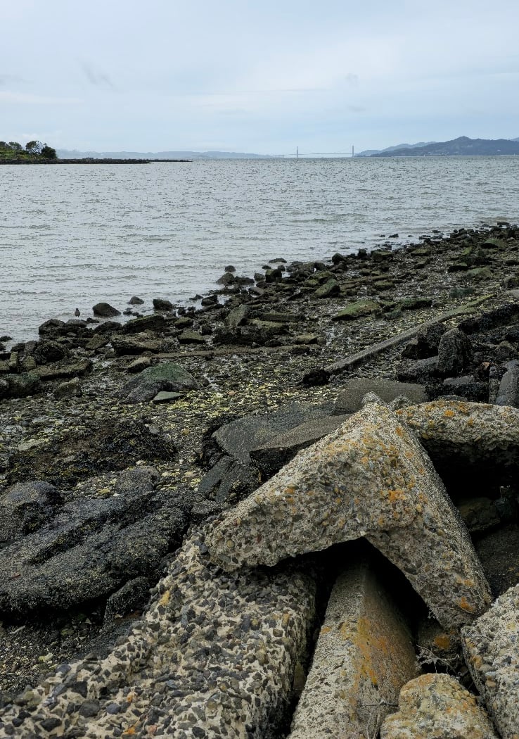 TEPCO Beach 2