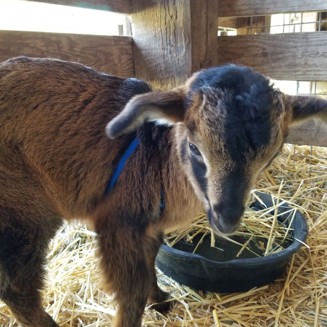 Ranch First Wednesday Open Community Day 3