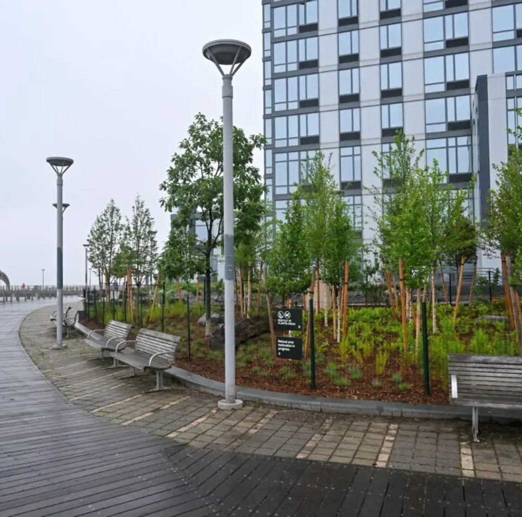 North 5th Street Pier and Park 4