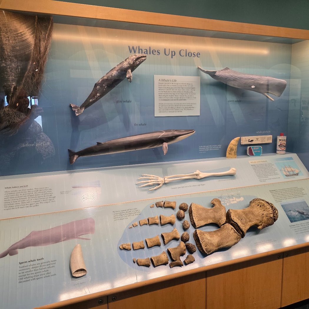 Doug Siden Visitor Center at Crab Cove 1