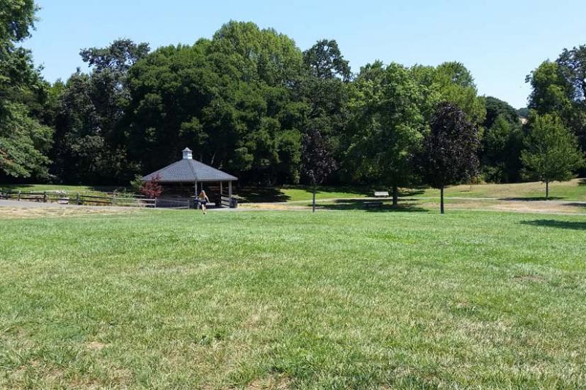 Pioneer Park 4