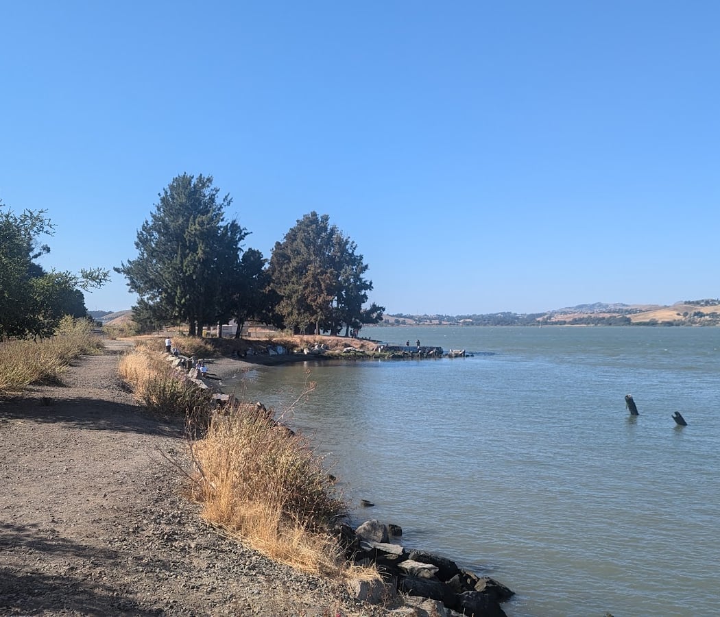 SP ferry terminal remains 2