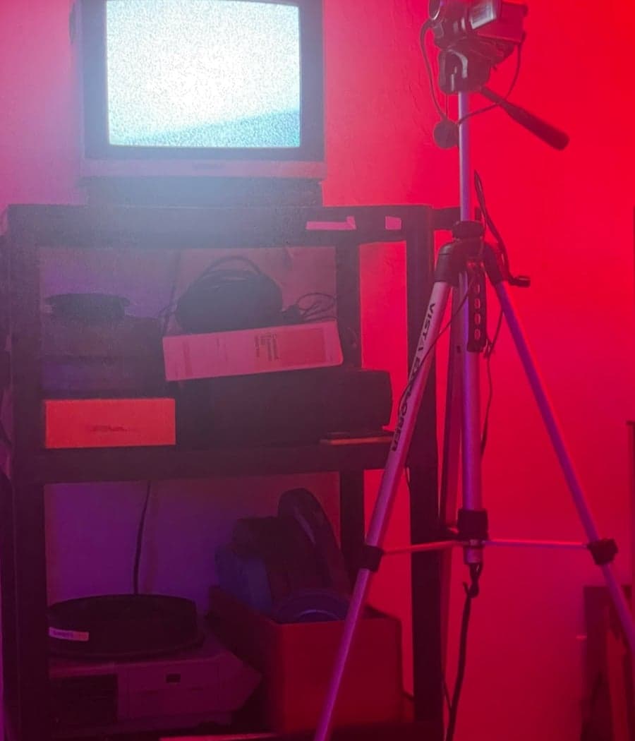 Kingdom of Not, Plonsey Scheme & Victoria and the Vaudevillains 3