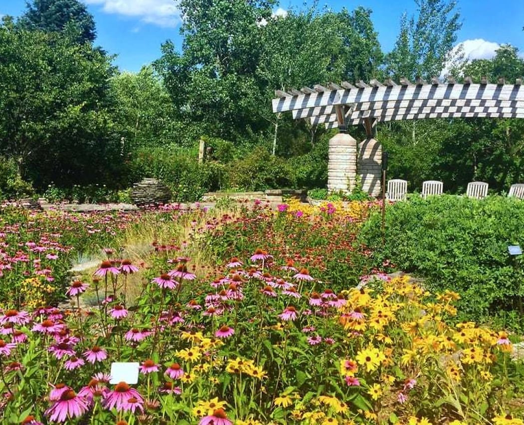 Matthaei Botanical Gardens 1