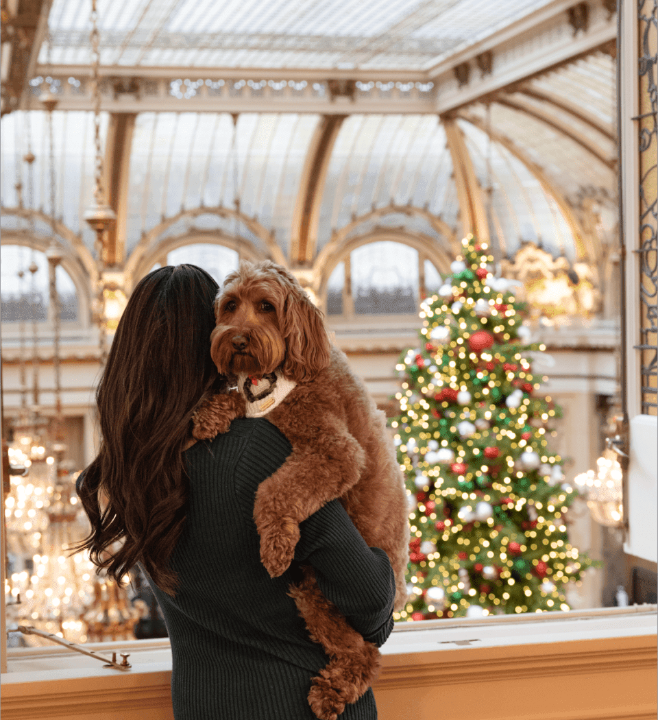 Palace Hotel, a Luxury Collection Hotel, San Francisco 2