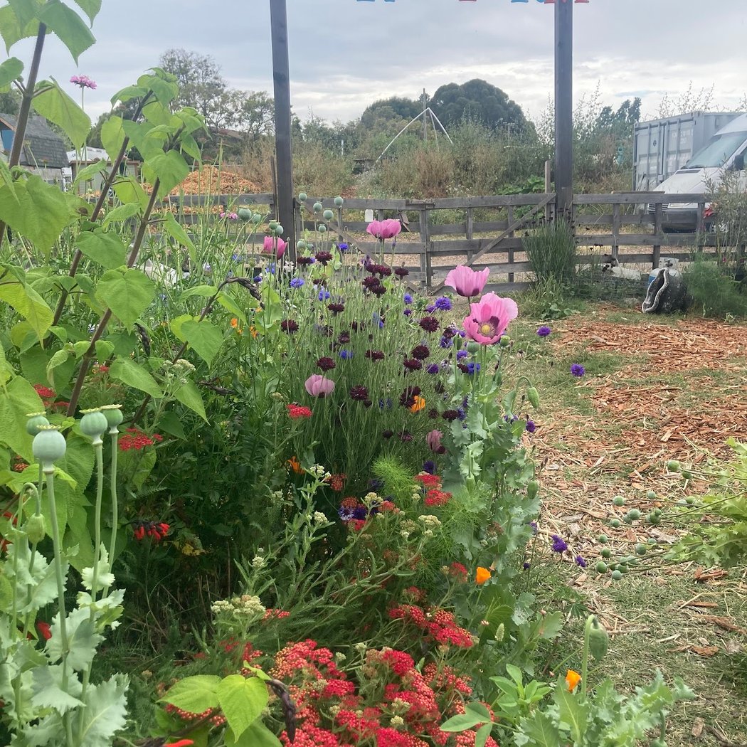 Bay Area Makerfarm 1