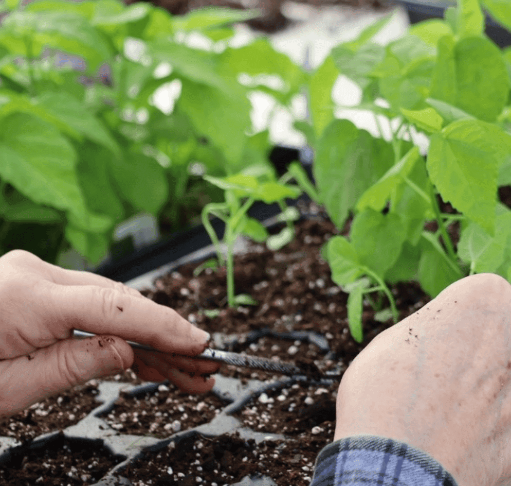 Wonder Walk: Earth Day - Celebrate stewardship of our shared home, Earth! 1