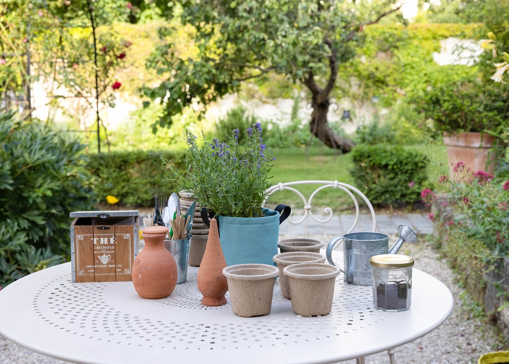 Atelier de jardinage - Potager de balcon