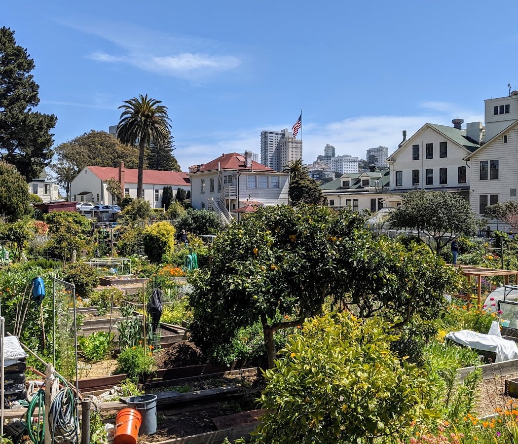 Fort Mason Community Garden 2