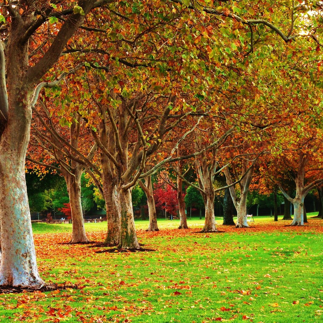 Muirwood Community Park 1