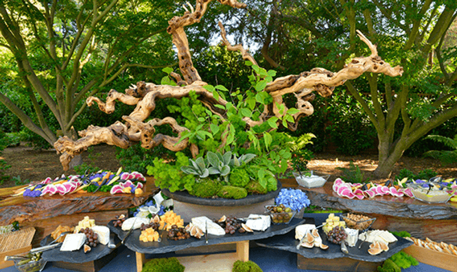 The Soiled Dove under The Big Top 1