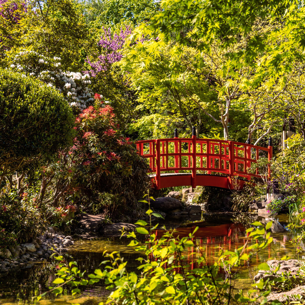 Parc de l'Amitié 2