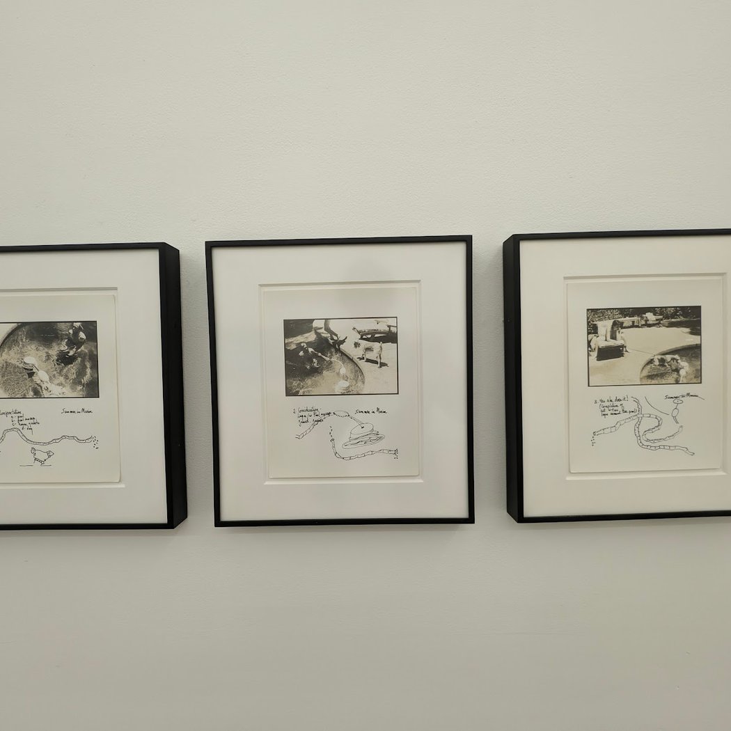 Eileen Myles reading 'Bird Watching and Their First Three Books of Poetry' 3