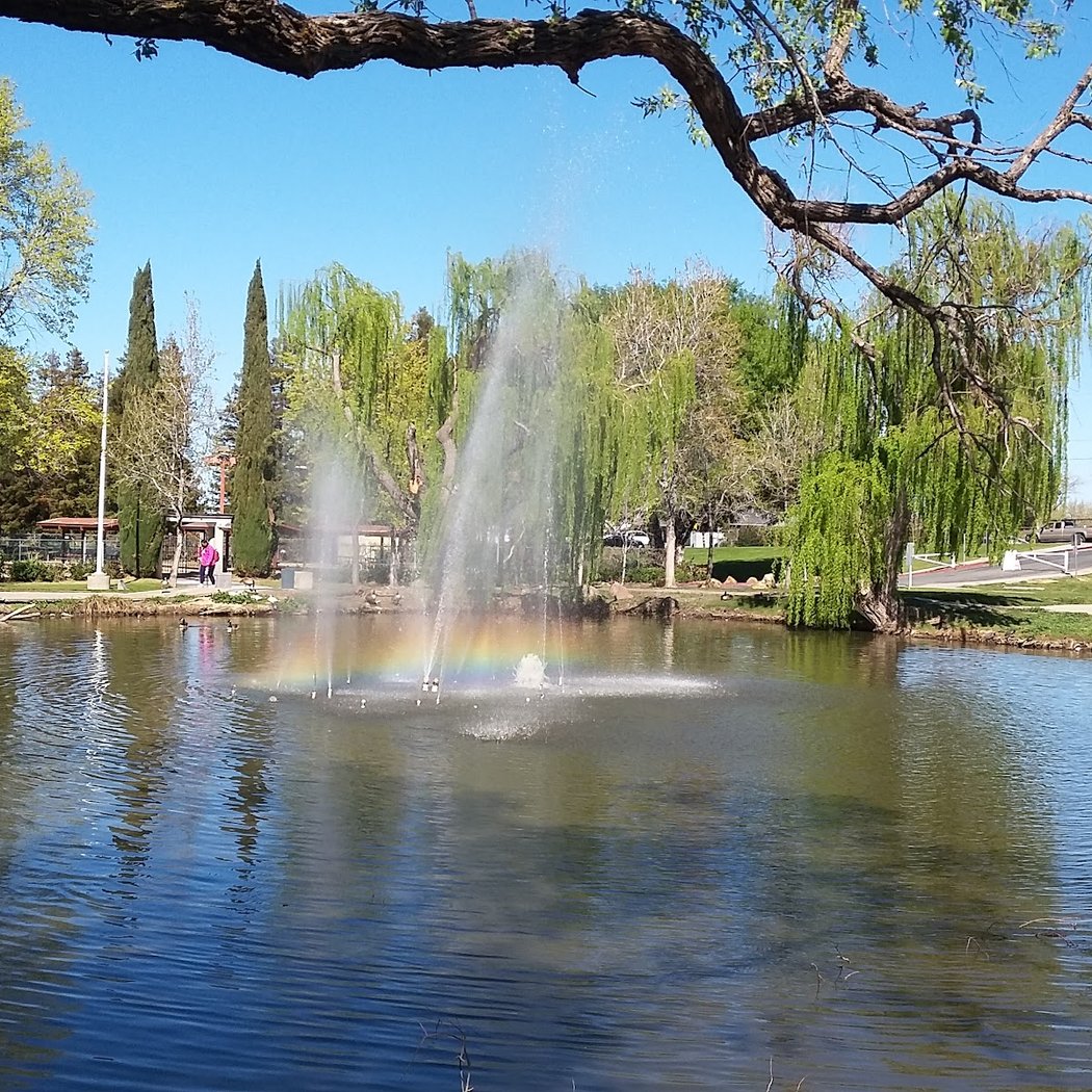 Buchanan Park 1