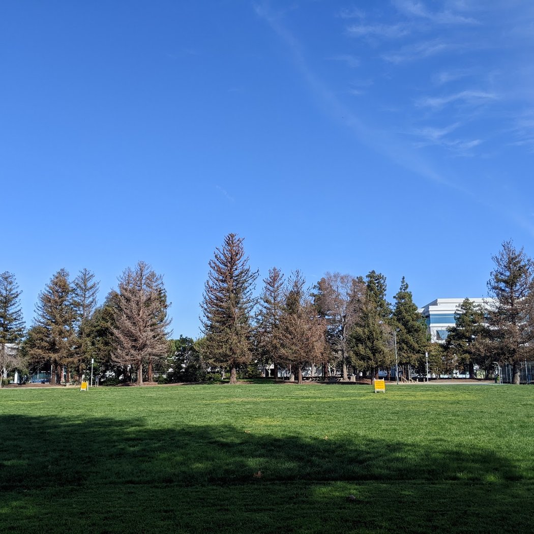 Encinal Park 3