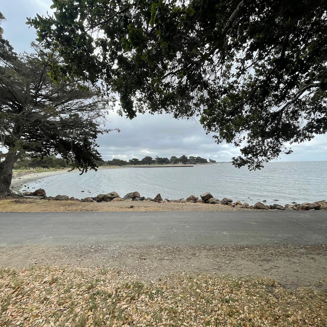 Hikes for Tykes: Crab Cove 3