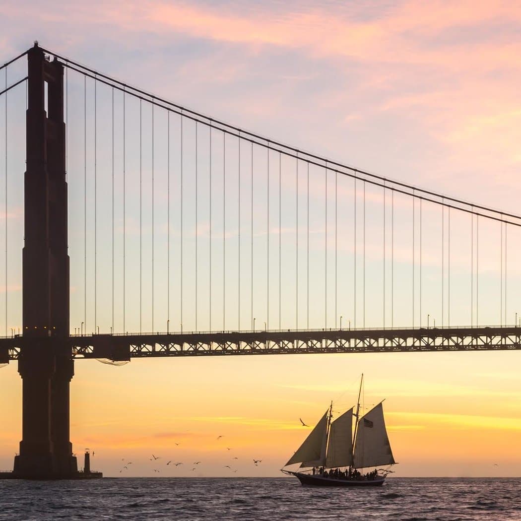 Wildlife Sail under the Golden Gate Bridge 1