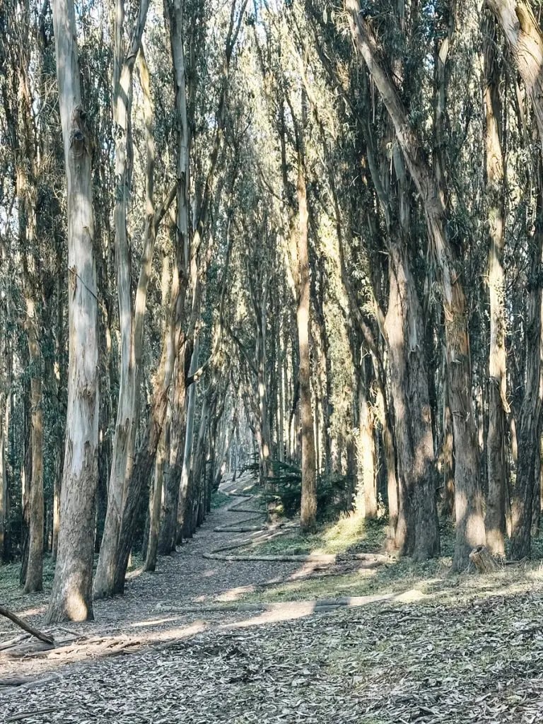 Spire by Andy Goldsworthy 3